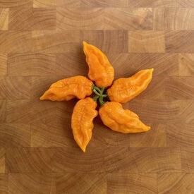 Yellow Bhut Jolokia, Pepper Seeds